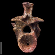 Karpinskiosaurus  secundus